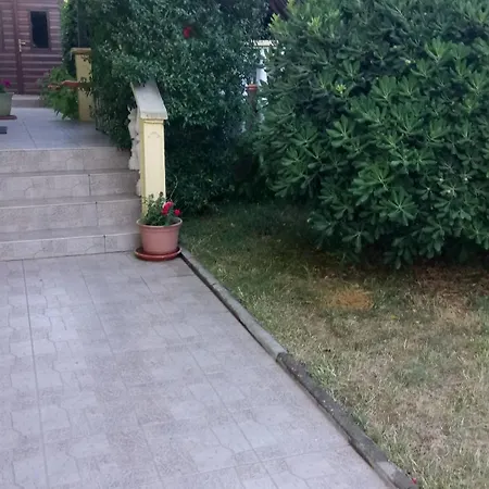Jopsy 1 * Zadar